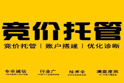 深度解析：SEM竞价优化提升ROI的案例